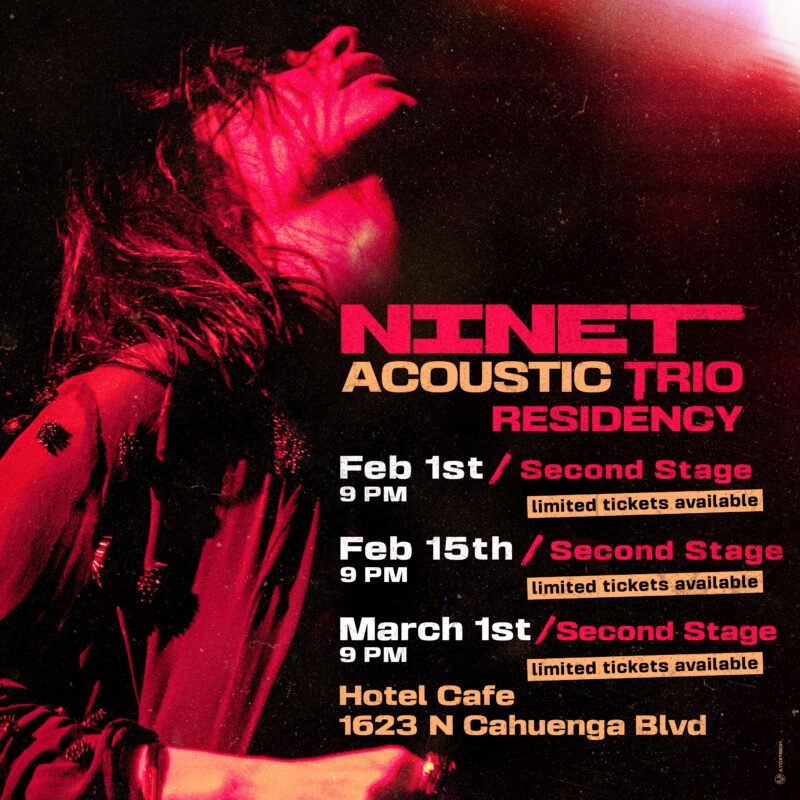 Ninet Acoustic Trio - Design
